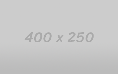 Curabitur sed dapibus nulla. 